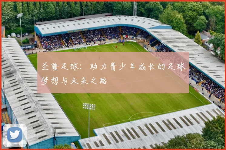 圣隆足球：助力青少年成长的足球梦想与未来之路