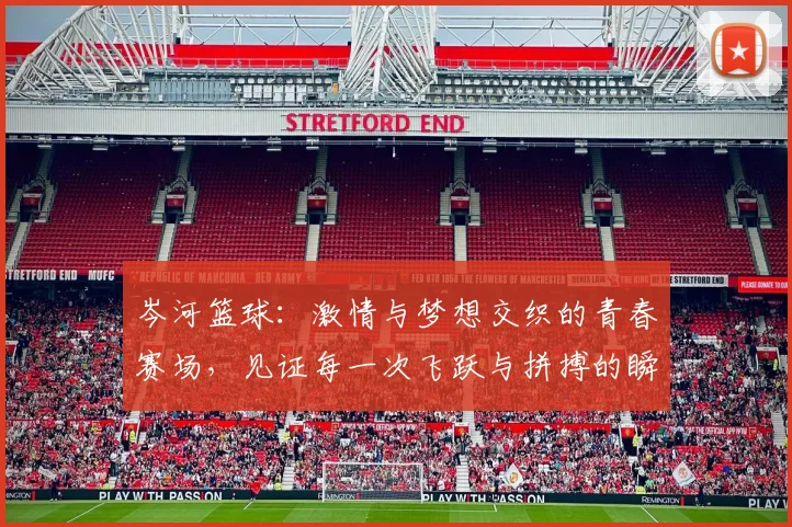 岑河篮球：激情与梦想交织的青春赛场，见证每一次飞跃与拼搏的瞬间