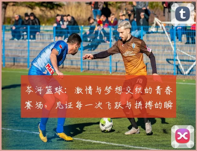 岑河篮球：激情与梦想交织的青春赛场，见证每一次飞跃与拼搏的瞬间