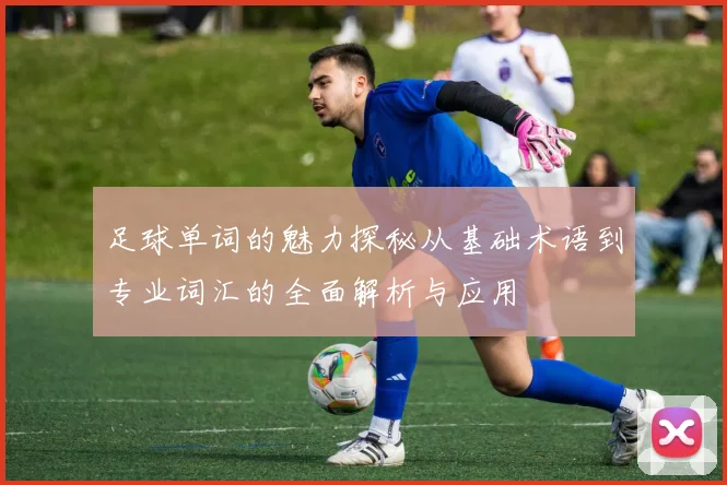足球单词的魅力探秘从基础术语到专业词汇的全面解析与应用