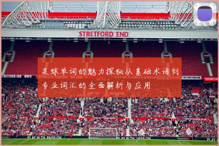 足球单词的魅力探秘从基础术语到专业词汇的全面解析与应用